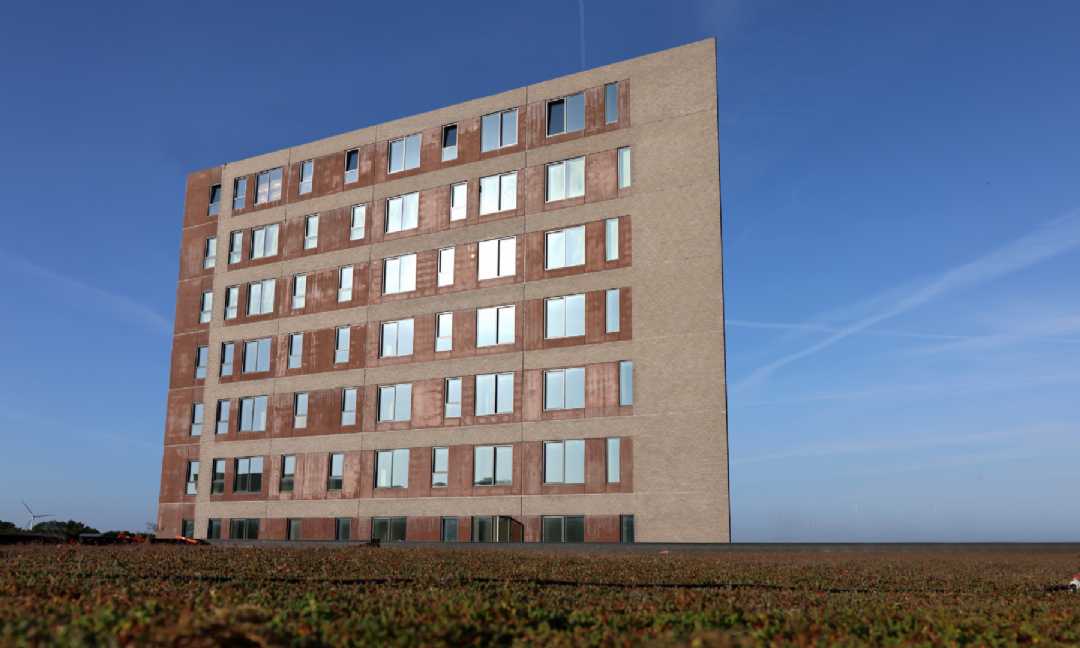 1-room apartment in Hvidovre image 2